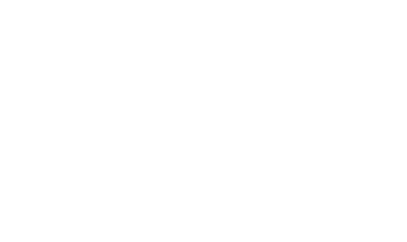 NS International