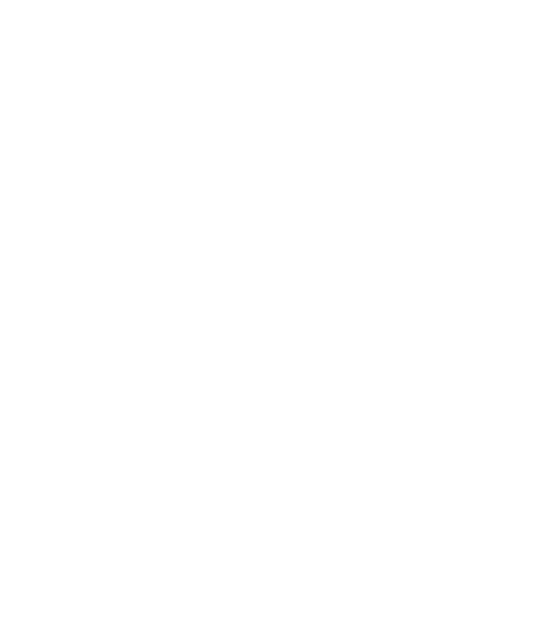 Slot Loevestein